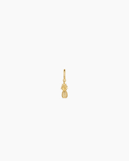 Pineapple Parker Charm